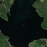 Ortofotot som kartlager i Skogsradar, raden jämförelsen utgår från