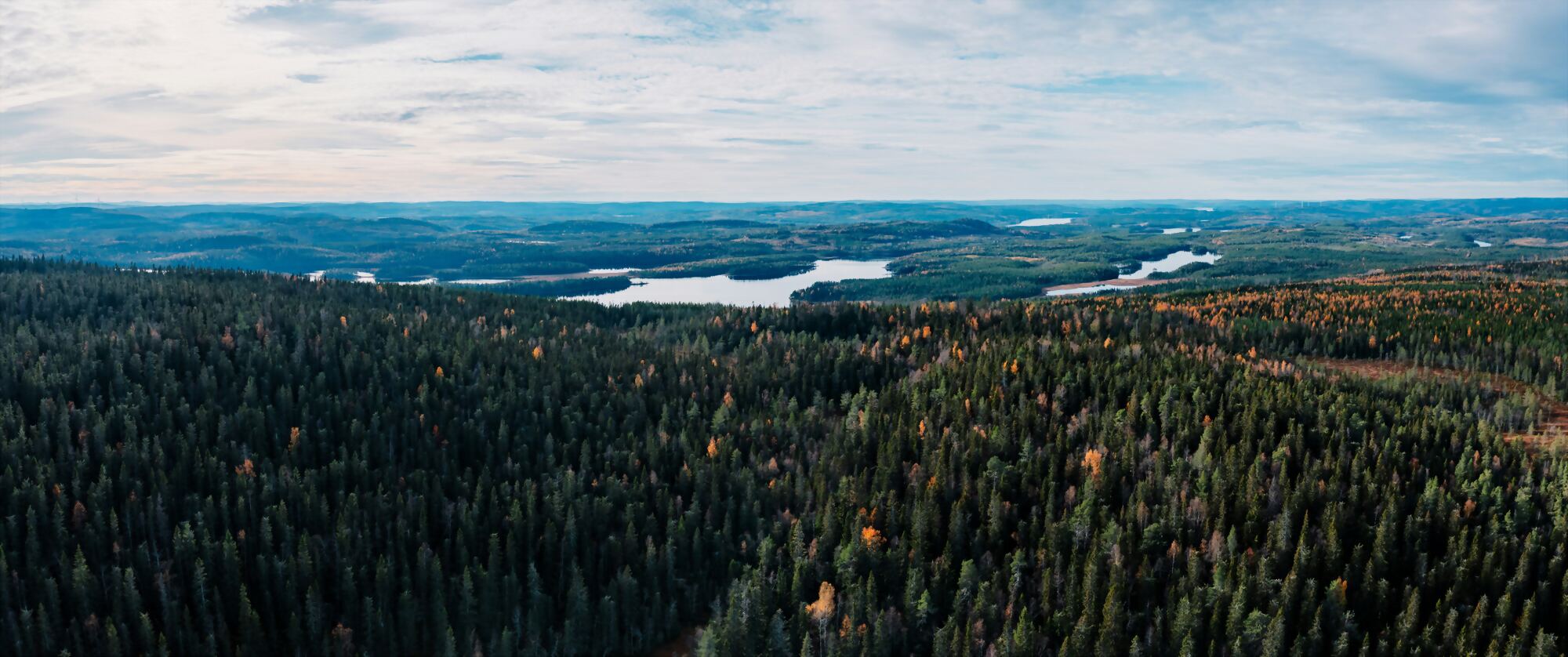 Flygbild över svenskt skogslandskap med barrskog, lövinslag och sjöar