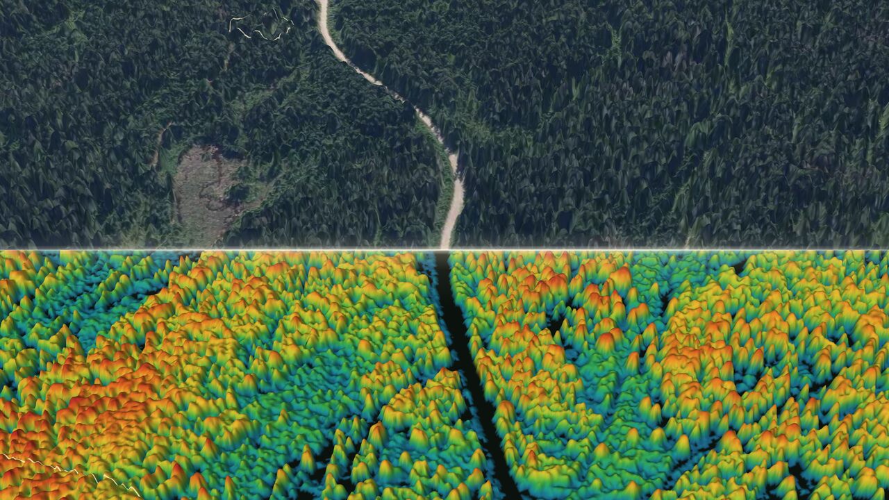 Exempelfastigheten snett ovanifrån, delad av en ljus linje: ovanför Lantmäteriets ortofoto, under krontaket ur laserdata färgat efter höjd, med skogsvägen rakt genom båda